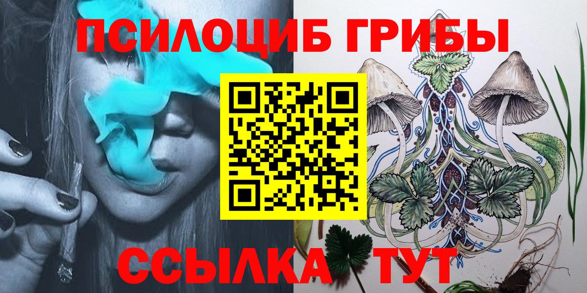 Галлюциногенные грибы GOLDEN TEACHER  Вход с VPN  Галлюциногенные грибы прущие грибы  Александров 